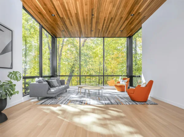 Modern Collection inspiration