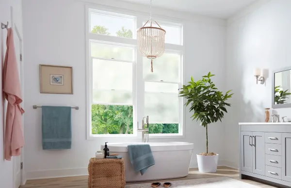 DaylightMax inspiration