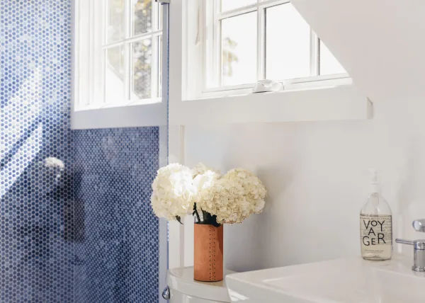 Elevate Collection inspiration