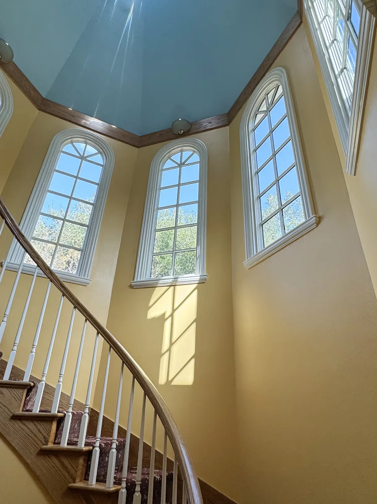 Vinyl Windows