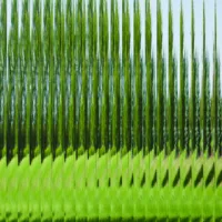 Narrow Reed