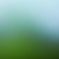 Matte Frost